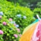 雨上がりの空気の匂いが好きなの