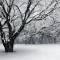 雪景色