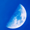 The pale moon