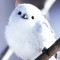 小鳥たちの歌