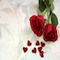 TVdrama_image4