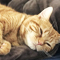 afternoon nap