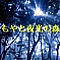 もやと夜光の森