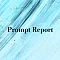 Prompt Report