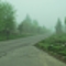 Foggy Road