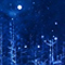 Clear Snowy Night
