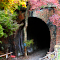 Time Tunnel