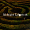 Midnight Labyrinth