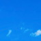 Fine Blue Run