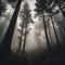 Lost in the Forest