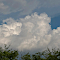 夏雲（Natsu-Kumo）