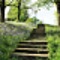 Skip a Step
