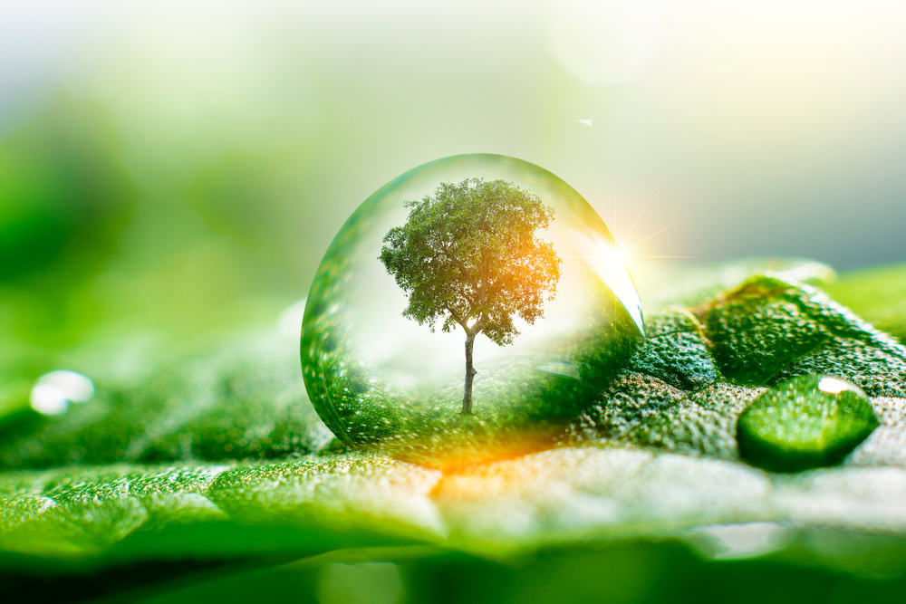 Natural Energy