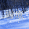 雪原