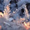 Frozen Elegance