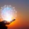 Crystal of light