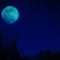 青い月(Blue Moon)