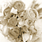 Parting flower