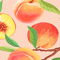 Royal Apricot