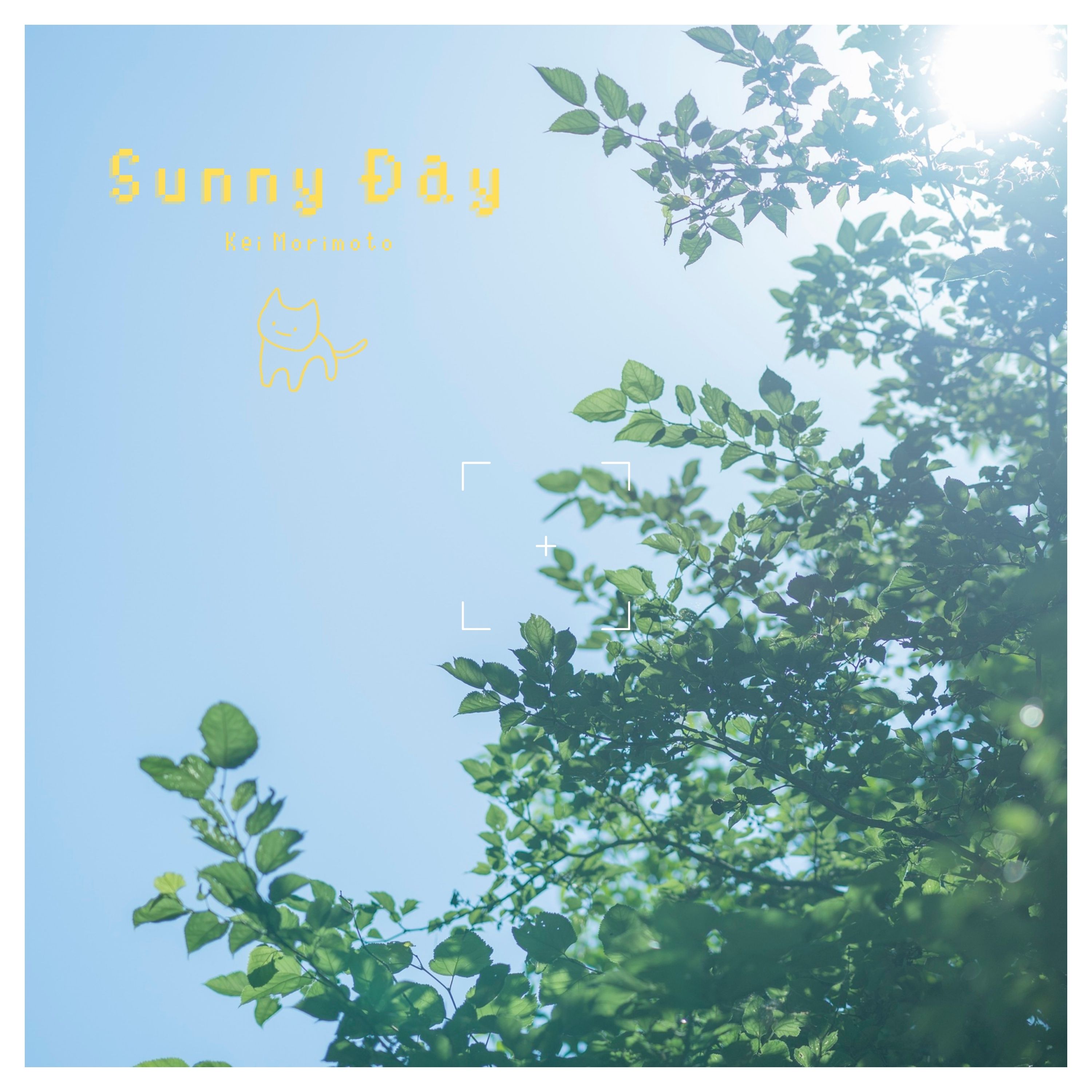 Sunny Day