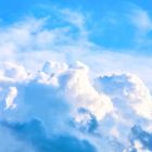 Entrust to those wings