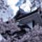 桜城にて