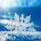 Winter Dance