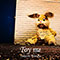 Toy me