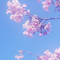 空は春めいて