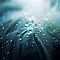 Rain Frequency