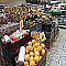 Shopping