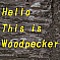 Hello this is Woodpecker