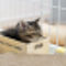 小さな猫のチル