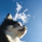 おひさまロード