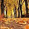 Fall In The Air