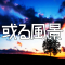 或る風景