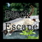BLACK ESCAPE