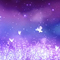 Dream Garden