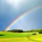 Rainbow Meadow