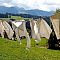 Country Laundry