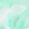 Feathers