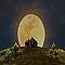 Moonlight Moonnight