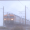 In The Mist