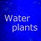 Water plants