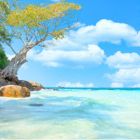 Summer Ocean Breeze