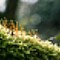 Garden of a breath