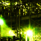 Metalist
