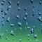Serene Rain