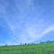 A fresh morning