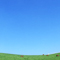 New Scenery